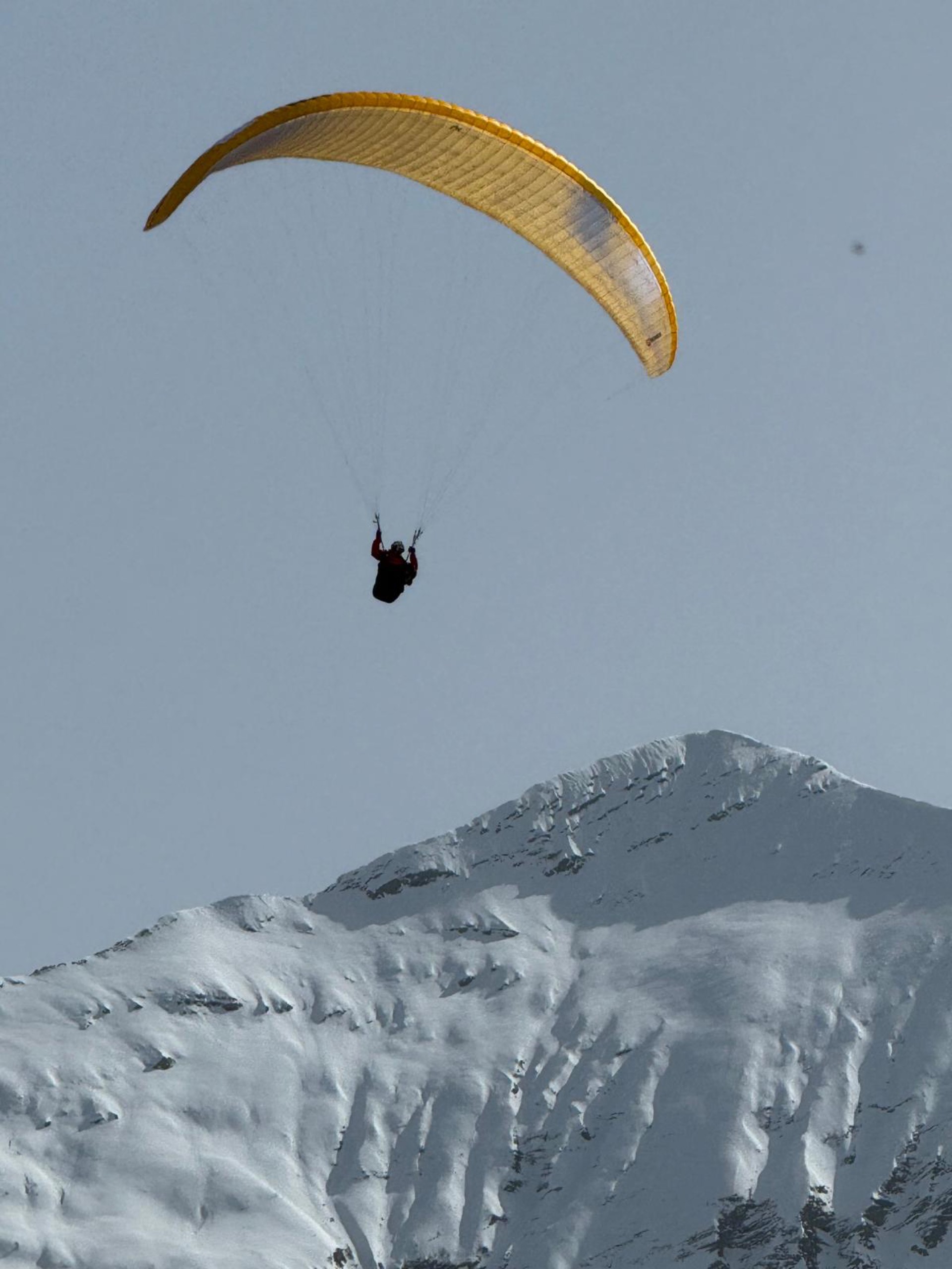 Parapente survol du massif enneigé des Écrins, vol à Orcières Merlette Hautes-Alpes