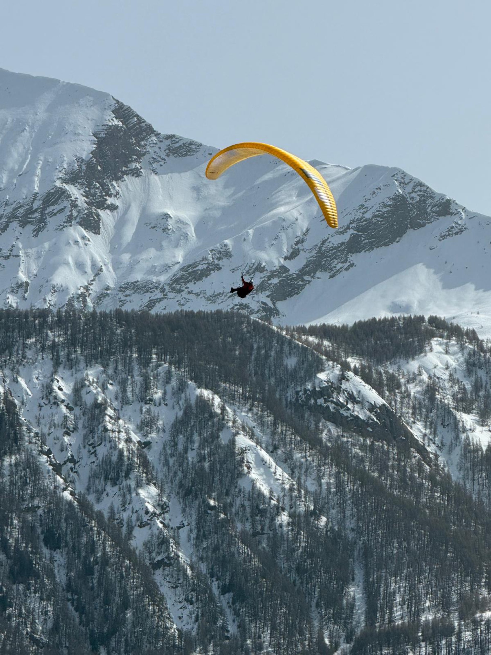 Parapente en vol sur versant hivernal, décollage à Orcières Merlette 1850 m
