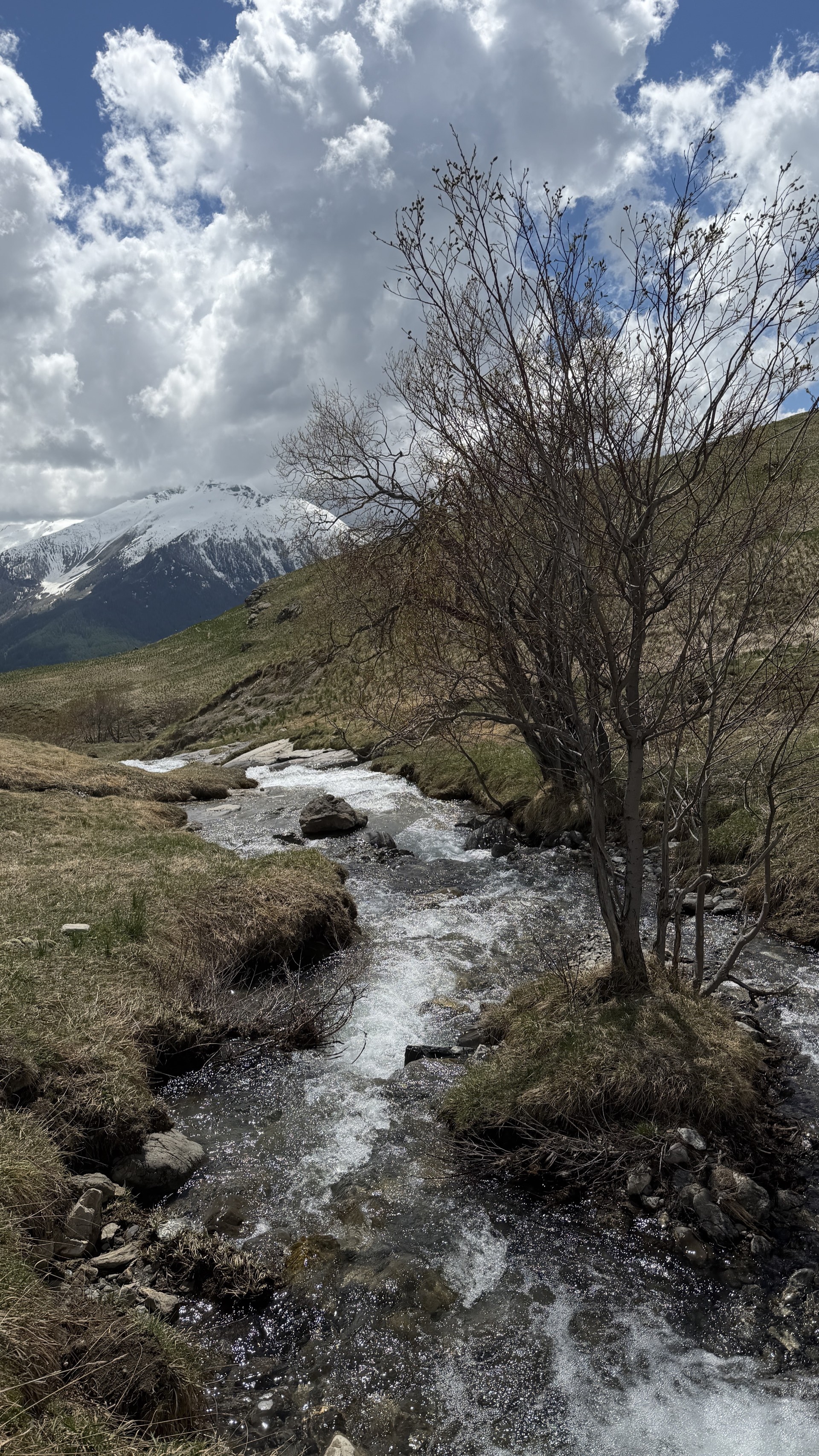 VTT face aux Écrins au départ du chalet Les Estaris, Orcières Merlette 1850 m