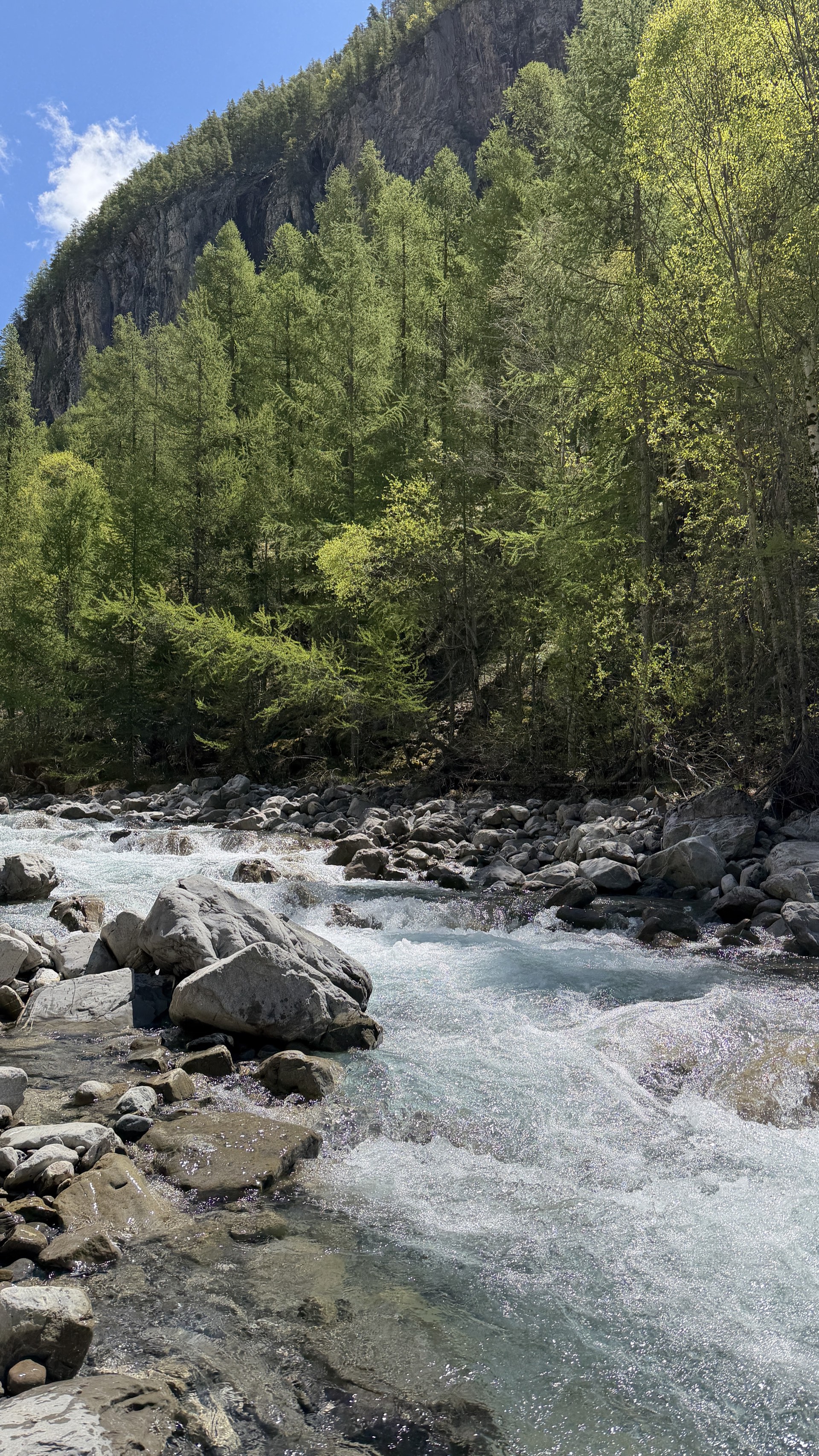 Le Drac torrent turquoise sous les mélèzes, randonnée en Hautes-Alpes