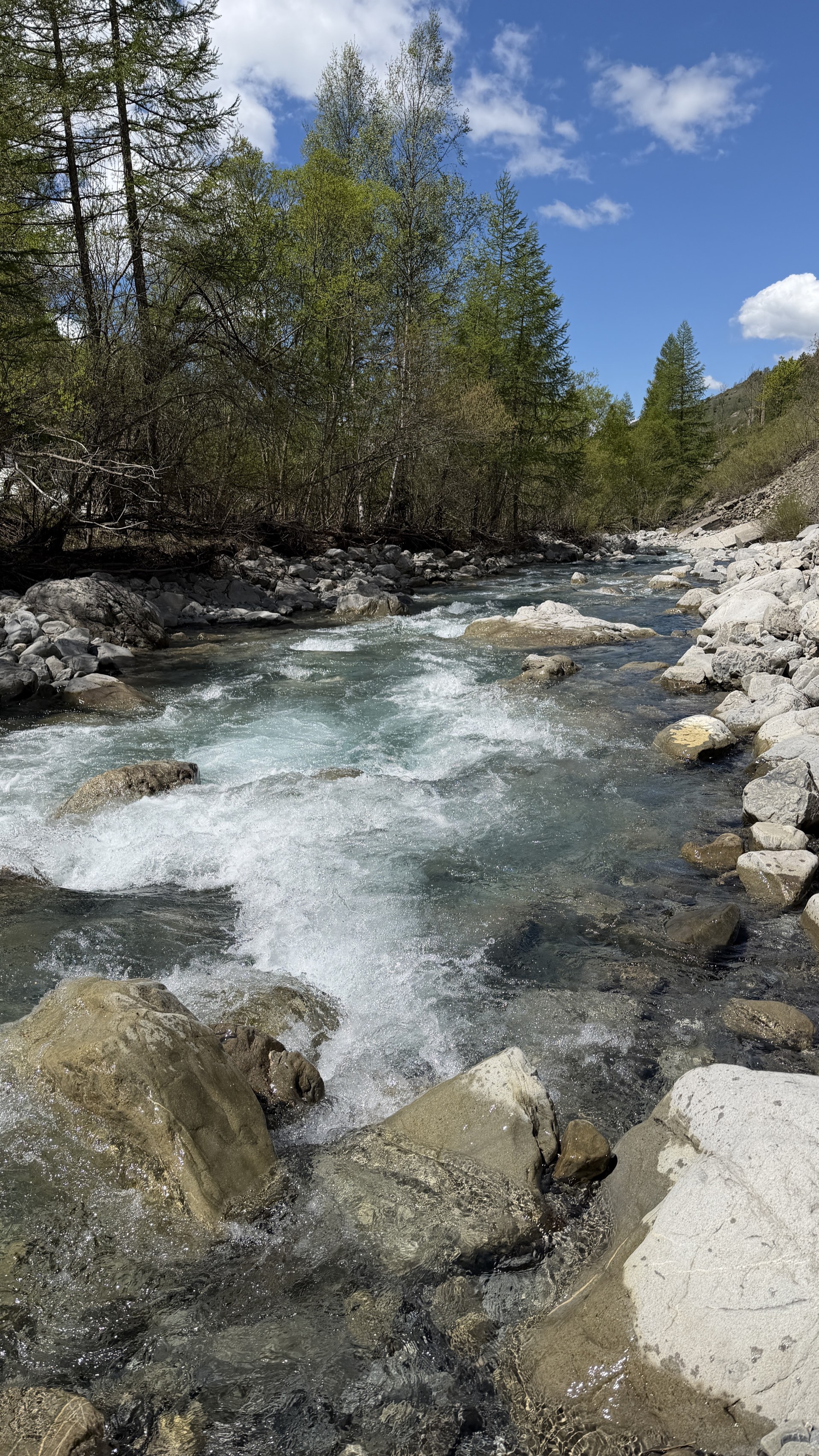 Le Drac eaux limpides et mélèzes, paysage estival Orcières Merlette