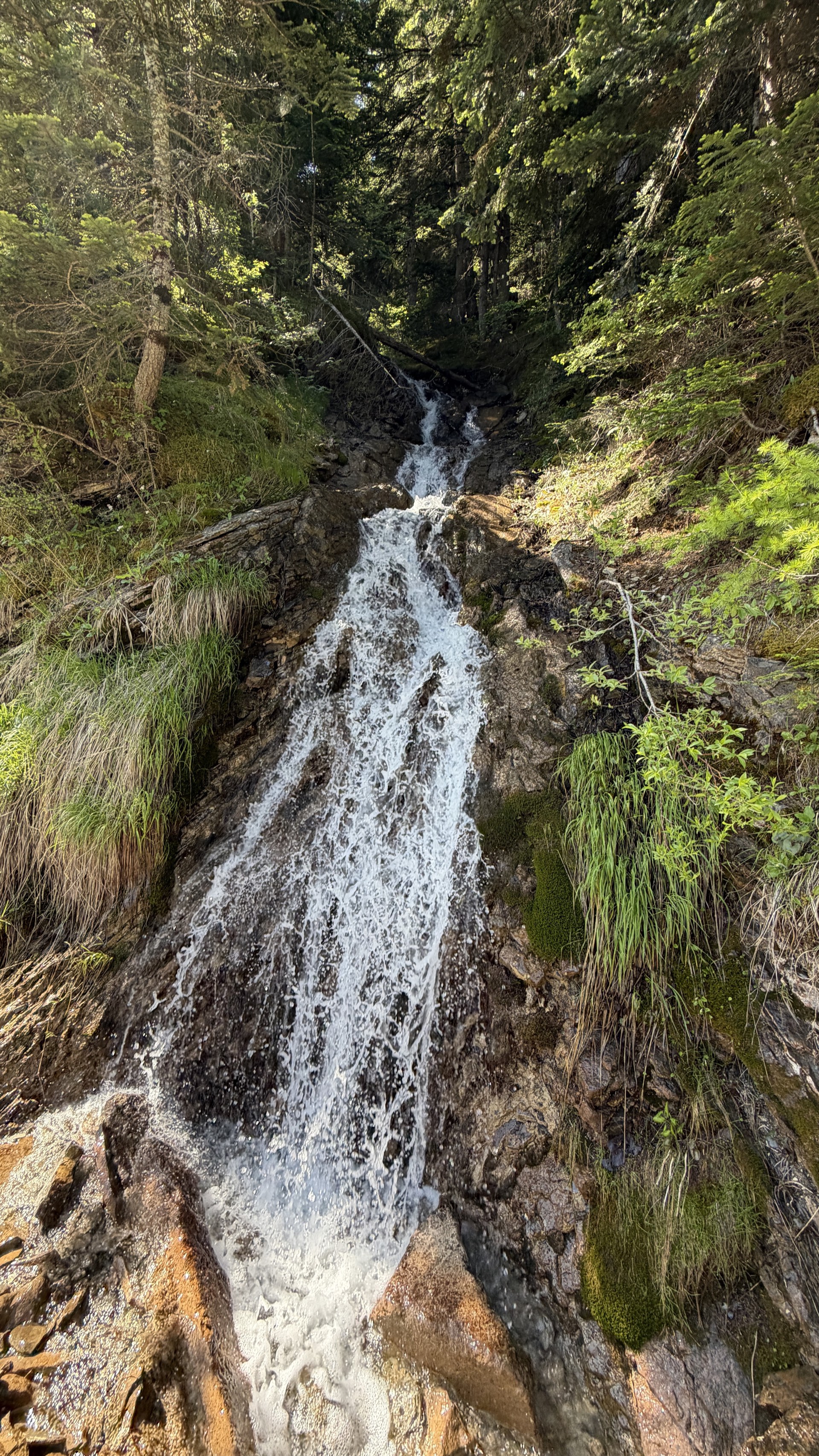 Cascade en sous-bois au printemps, randonnée près du chalet Les Estaris Orcières