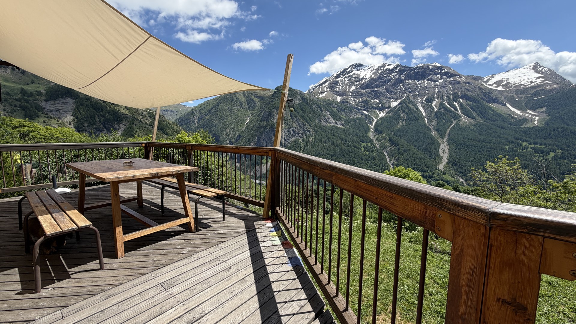 Prairie fleurie avec fleurs des Alpes et massif des Écrins enneigé en juin, Orcières Merlette Hautes-Alpes