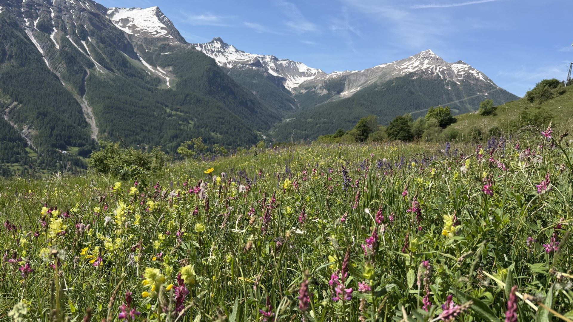 Terrasse d'été avec store voile, table en bois et vue panoramique sur les gorges et les Écrins, chalet Les Estaris Orcières