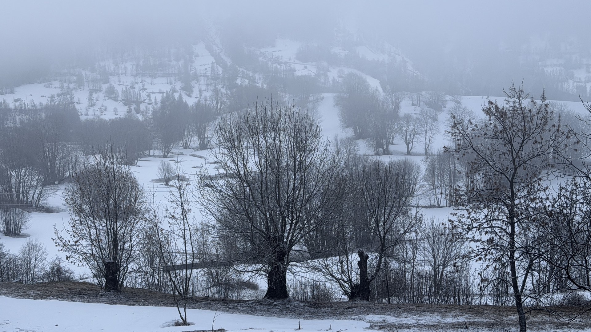 Ambiance brumeuse et enneigée au cœur de l'hiver à Orcières Merlette, Hautes-Alpes