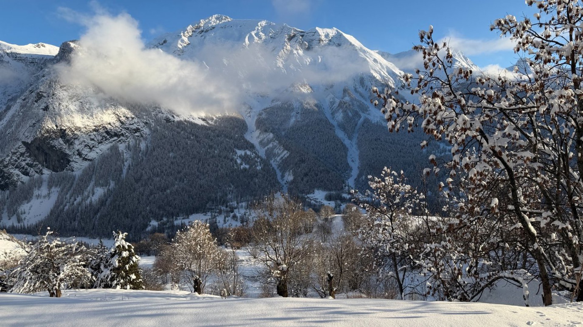 Versant nord avec forêts et couloirs de ski, domaine skiable Orcières Merlette